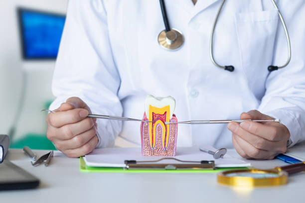 Best Emergency Broken Tooth Repair in Fredericksburg, IA